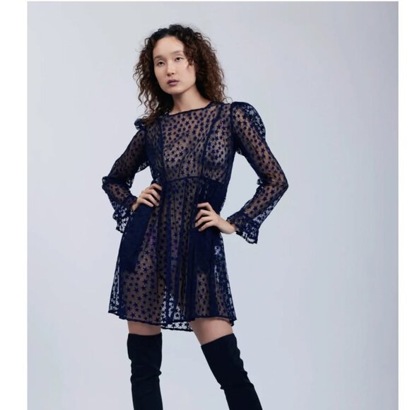 Batsheva Mini Prairie Dress in Sheer Star Fabric - Sold Out Style! - Sz 8 - NWT - Picture 2 of 4